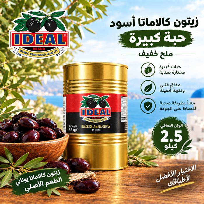 زيتون كالاماتا ملح خفيف — عبوة ستيل 2.5 كيلوغرام